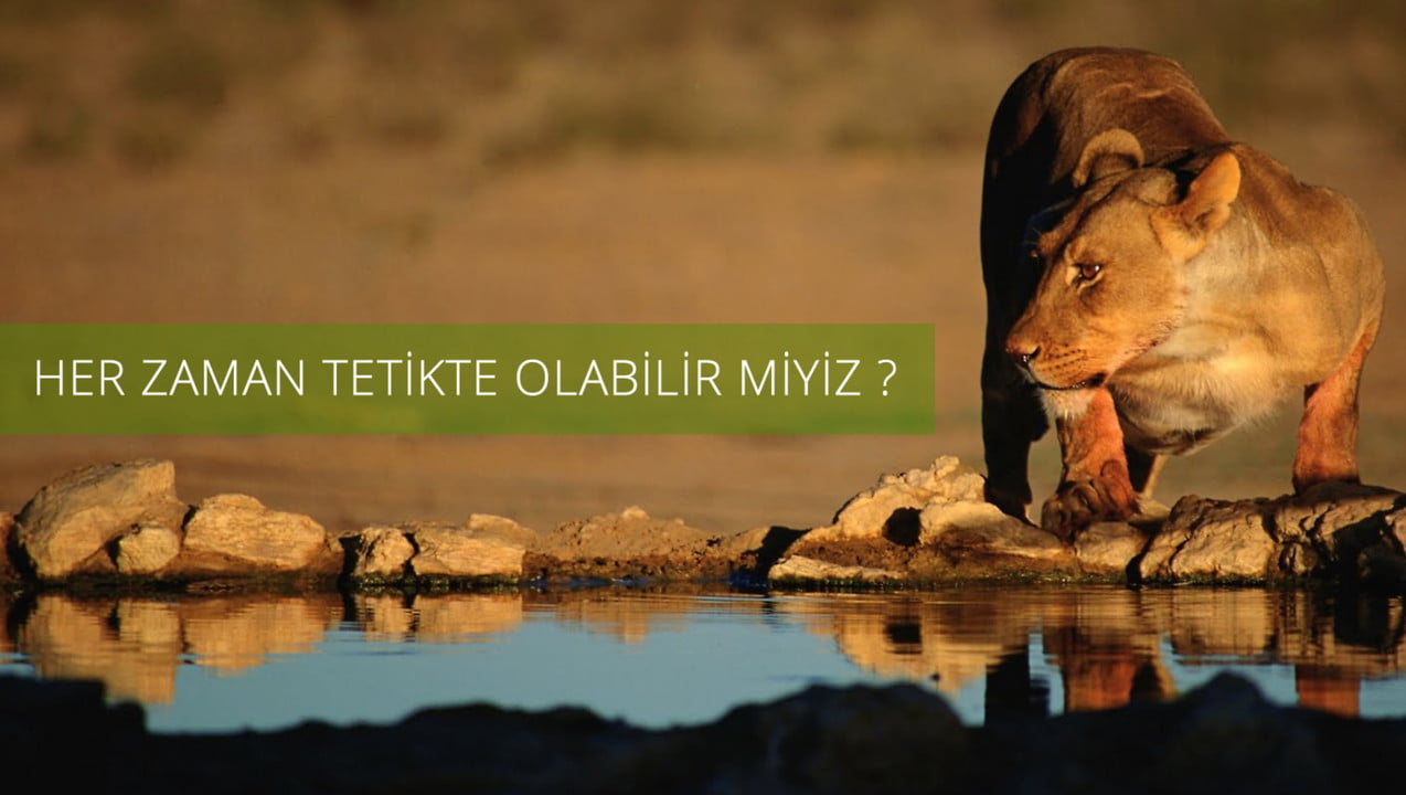 E-Ticarette Beklenmedik Tehlikelere Karşı Hazırlıklı Olmak